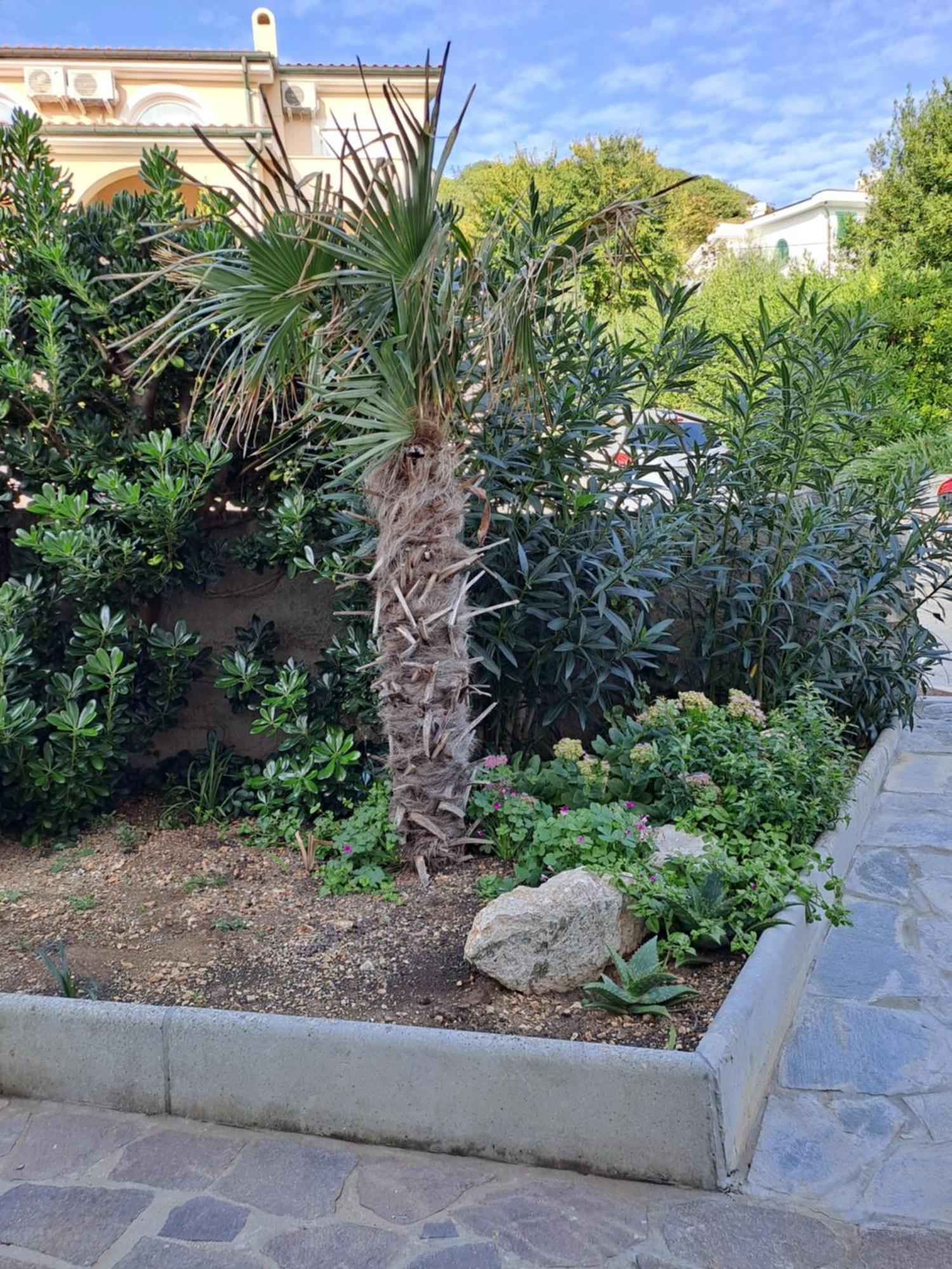 Apartment Kricin Baška Pokoj fotografie